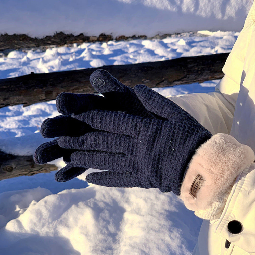 Women's Thick Warm Touchscreen Winter Gloves - Gray